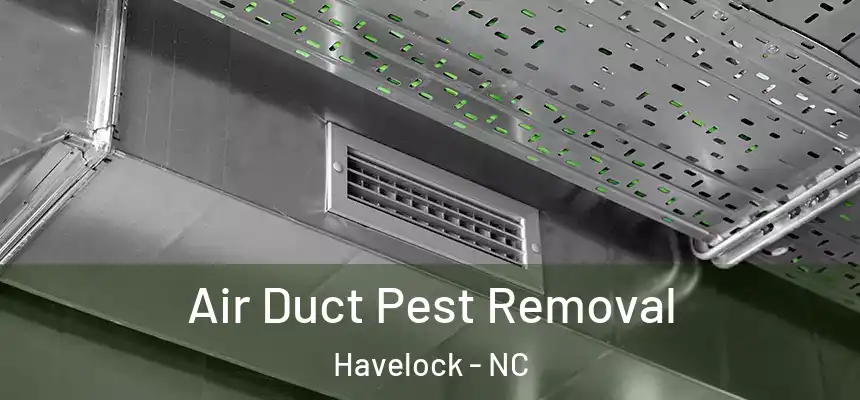 Air Duct Pest Removal Havelock - NC