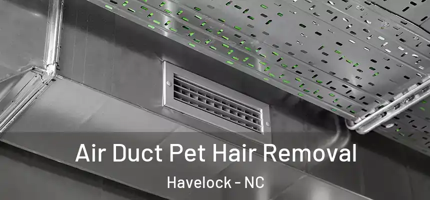 Air Duct Pet Hair Removal Havelock - NC