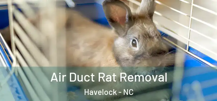  Air Duct Rat Removal Havelock - NC