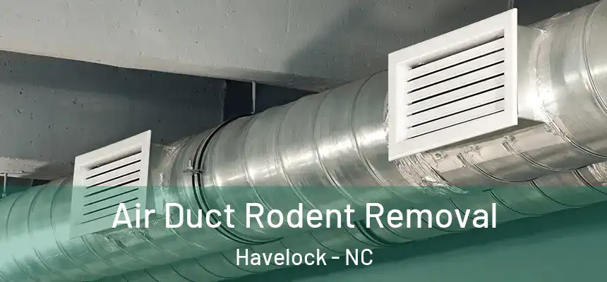 Air Duct Rodent Removal Havelock - NC