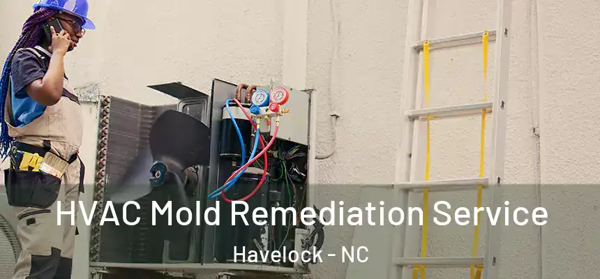 HVAC Mold Remediation Service Havelock - NC
