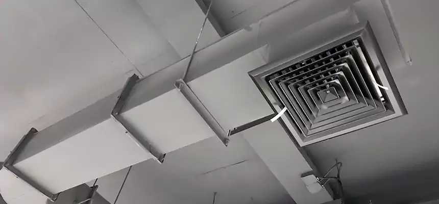 Our Pest Removal From Ducts Services in Havelock, NC