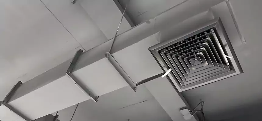 Our Rodent Droppings In Vents Services in Havelock, NC