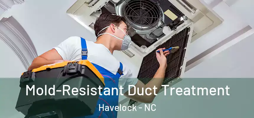 Mold-Resistant Duct Treatment Havelock - NC