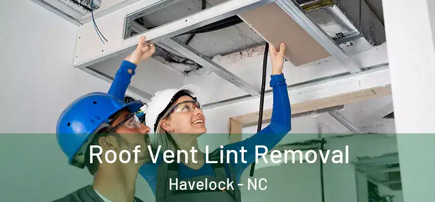 Roof Vent Lint Removal Havelock - NC