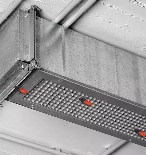 Affordable Insect Removal from Air Ducts in Havelock, NC