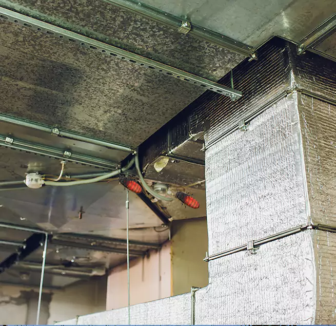 Why Homeowners & Businesses Trust Us in Havelock, NC?