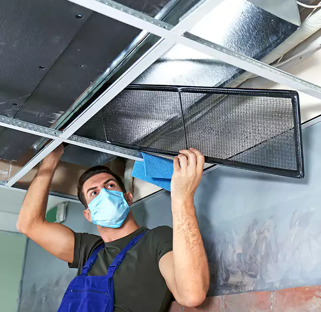 Why Homeowners Businesses Trust Us in Havelock, NC