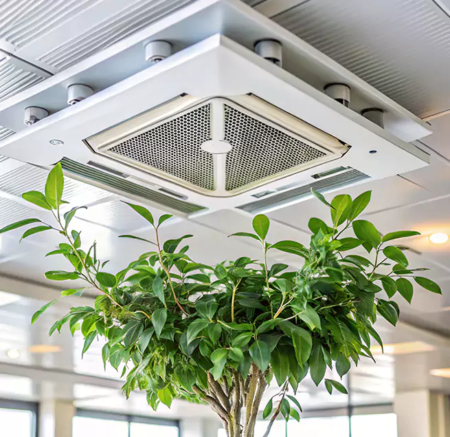 Why Homeowners & Businesses Trust Us in Havelock, NC