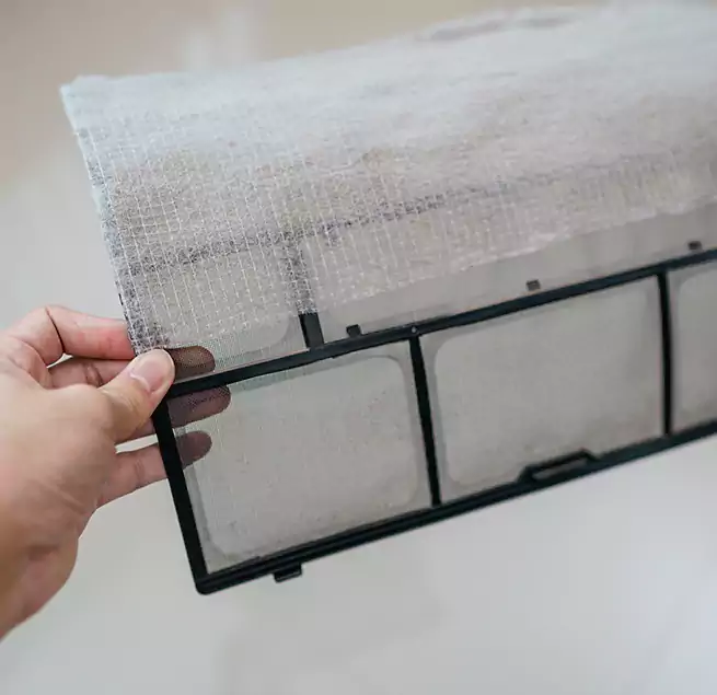 Why Homeowners & Businesses Trust Us in Havelock, NC?