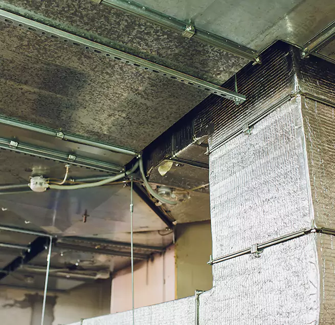 Why Homeowners & Businesses Trust Us in Havelock, NC?